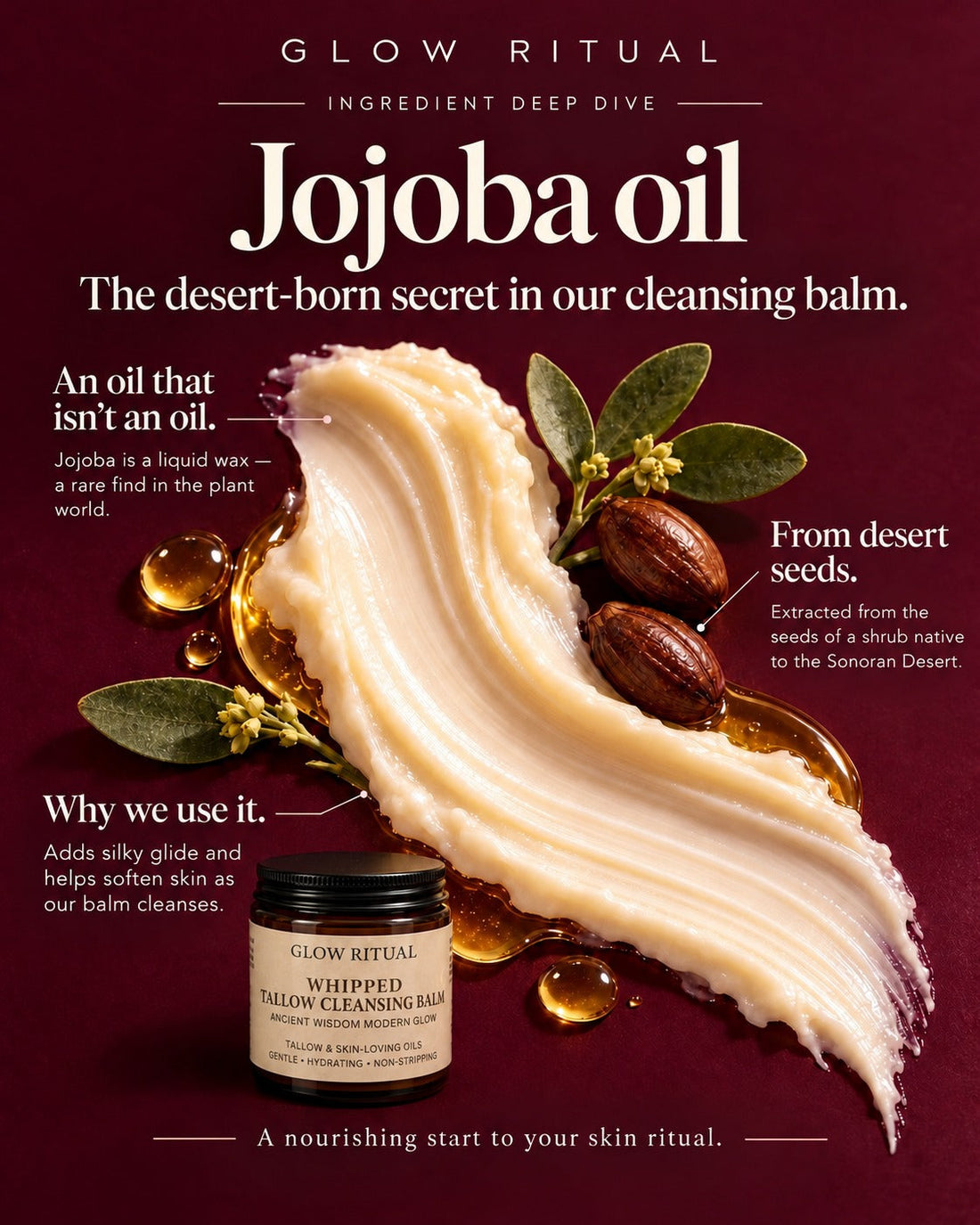 Ingredient deep dive: jojoba oil in Glow Ritual Whipped Tallow Cleansing Balm