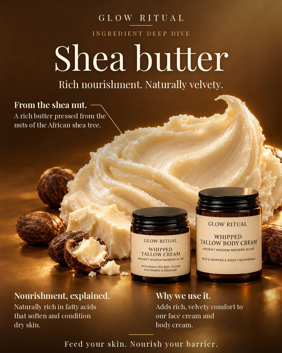Ingredient deep dive: shea butter, rich nourishment, in Glow Ritual Whipped Tallow Cream and Body Cream