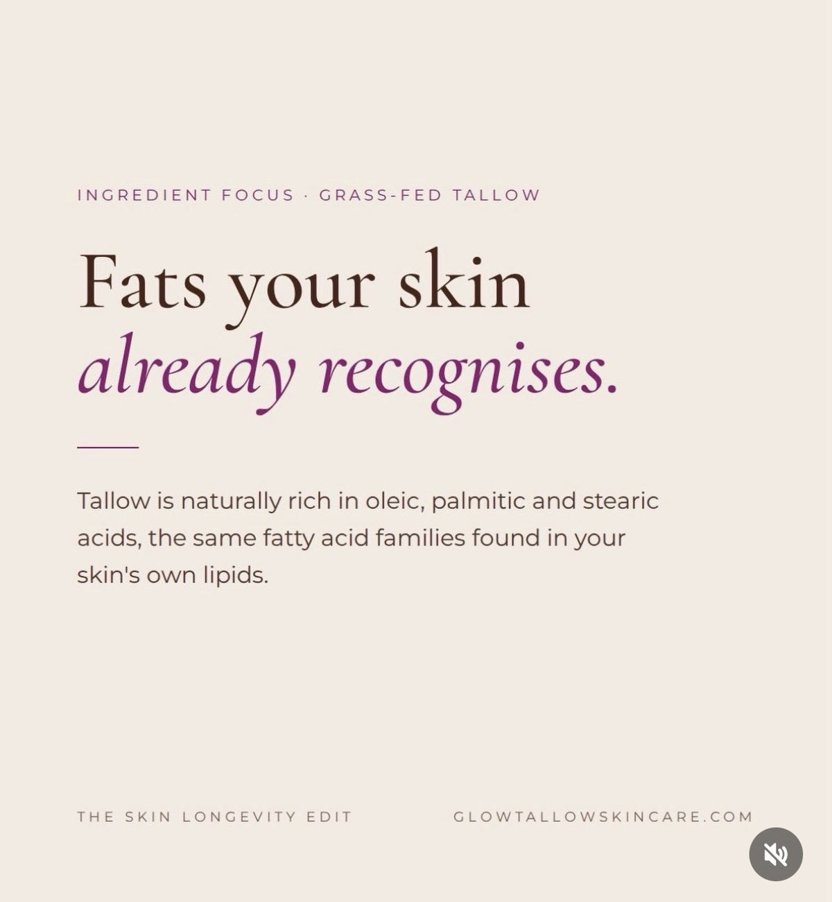 Ingredient focus, grass-fed tallow: fats your skin already recognises
